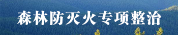 森林防灭火专题整治